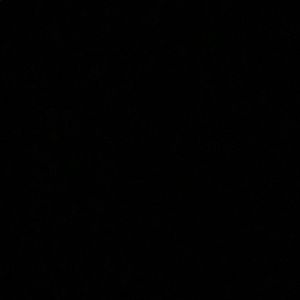 Meet your Posher, Alexander